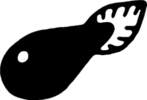 Pond Tadpole