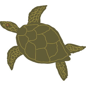 Turtle 