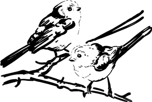 Long Tailed Tits