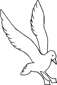 Seagull