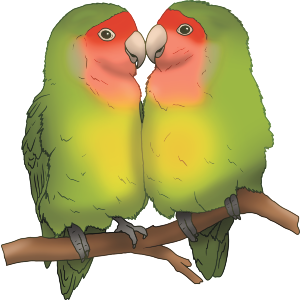 Lovebirds Cuddling