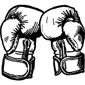 Boxing Gloves