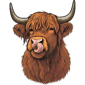 Highland Cow