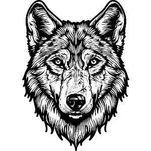 Wolf Portrait