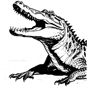 Crocodile Jaws Open