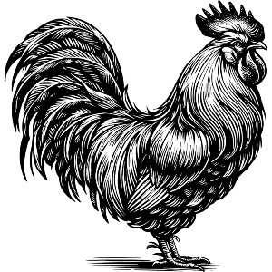 Proud Rooster
