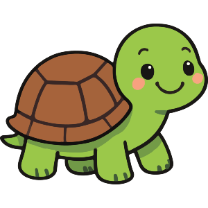 Cute Tortoise