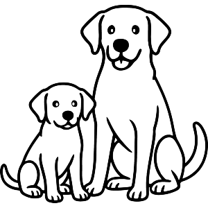Labrador Adult and Puppy