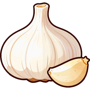 Garlic Bulb & Clove