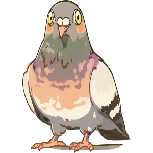 Pigeon Standing