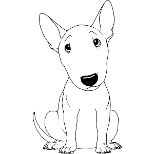 Sitting Bull Terrier