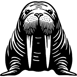 Cute Walrus