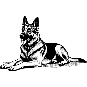 German Shepherd Side View