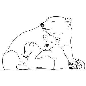 Polar Bear Mother & Cubs