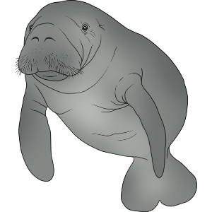 Gentle Giant of the Depths