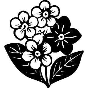 Forget Me Not Flowers