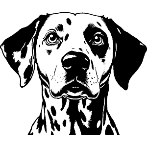 Dalmation Portrait