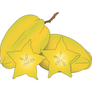Star Fruit Illustration