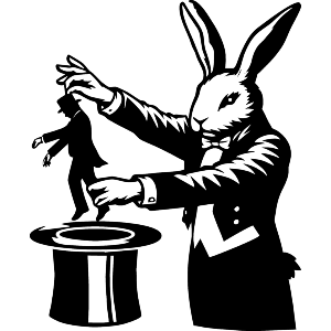 Rabbit Magician