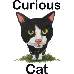 Curious Cat