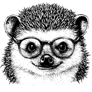 Hedgehog Wearing Glasses