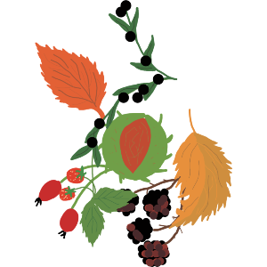 Autumn In All It