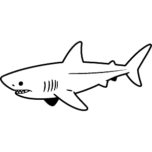 Great White Shark