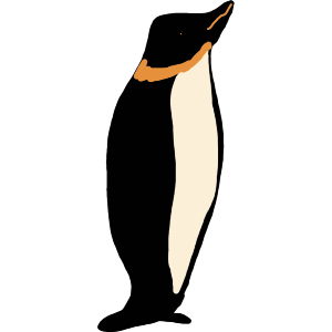 A Solitary Penguin 