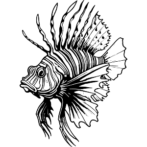 Lionfish