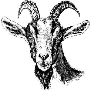 Goat Head