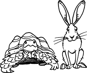 Hare & Tortoise