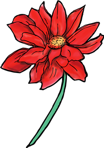 Pretty Flower