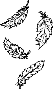Falling Feathers