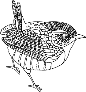 Wren