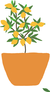 Lemon tree