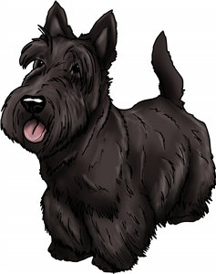Scottish Terrier