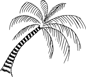 Palm Tree