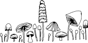 Mushroom Medley