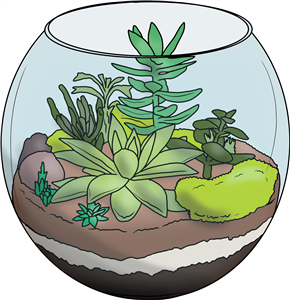 Succulent Terrarium