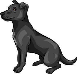 Patterdale Terrier