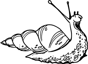 Snail