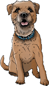 Border Terrier