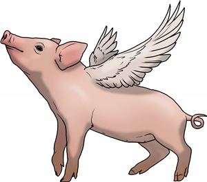 Flying Pig