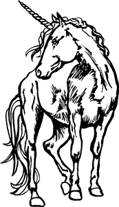 Beautiful Unicorn