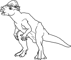 Pachycephalosaurus