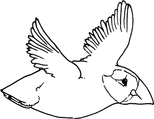 Flying Puffin