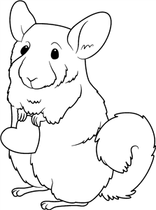 Chinchilla Holding Heart