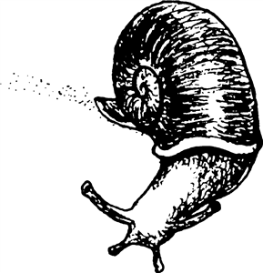 Snail