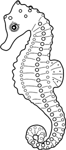 Seahorse