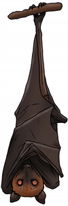 Flying Fox Bat
